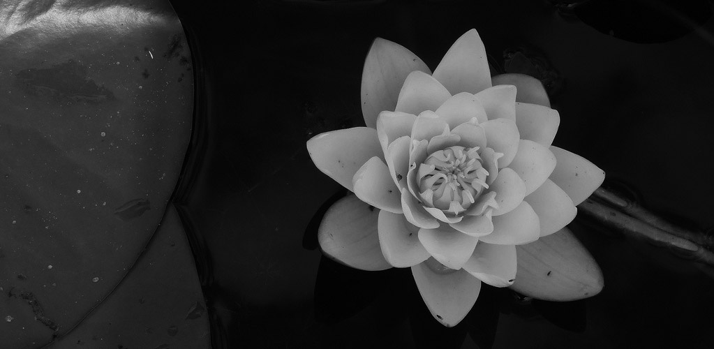 00001